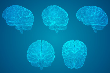 排名前十的招聘app（找工作下载哪个平台最可靠）