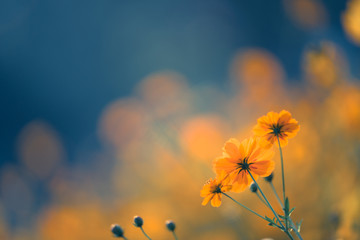 2025中考录取分数线/2025中考录取分数线是多少分