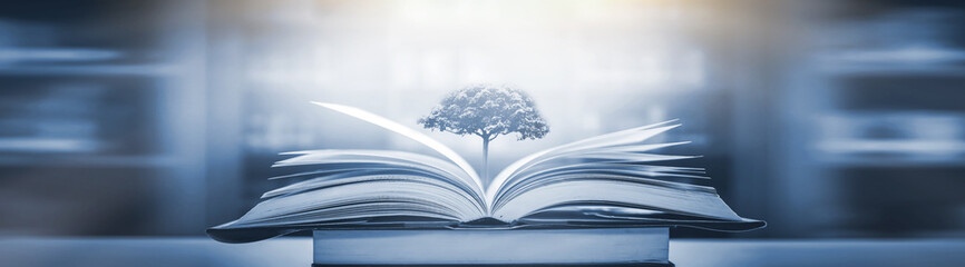 2025年新高考考纲（高考改革新方案2025高考是什么政策）