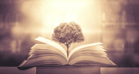 常德市区地图/常德市辖区地图