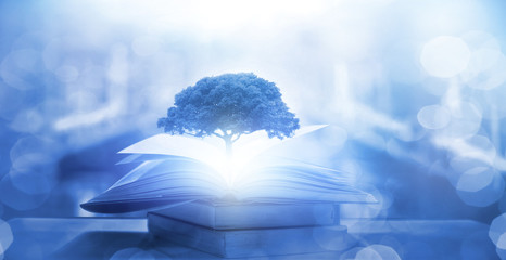 欢迎使用Z-BlogPHP！