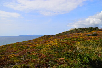 2025年新高考考纲（高考改革新方案2025高考是什么政策）