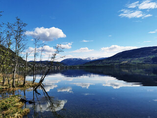 【鼓浪屿电子地图,鼓浪屿电子地图全图】