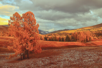 【比亚迪e6电动汽车,续航600km10万左右纯电车推荐】