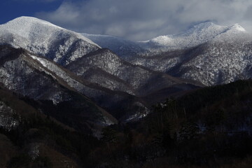 排名前十的招聘app（找工作下载哪个平台最可靠）