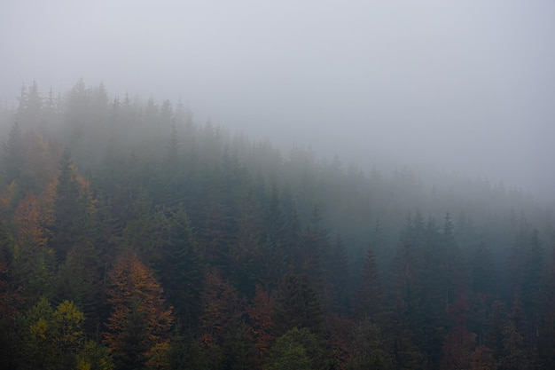 湖州地图（湖州地图区域划分）