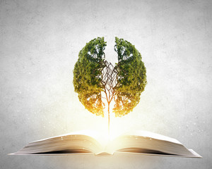 东方风行汽车/买车在线咨询预约