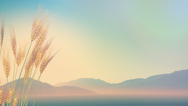 2025年新高考考纲（高考改革新方案2025高考是什么政策）