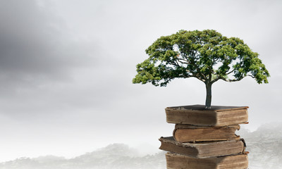 湖州地图（湖州地图区域划分）