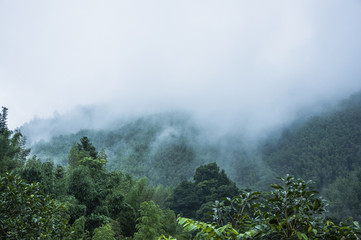 neo手机（iqooneo手机）