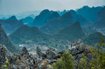 【红烧鳝鱼的做法,红烧鱼制作过程】