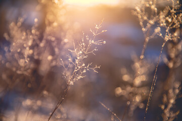 【小学教师资格证考试科目,小学教师资格证考试科目舞蹈】