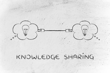 六年级上册数学补充习题答案/一年级课时练数学答案
